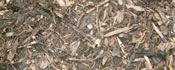 Woodland Mulch